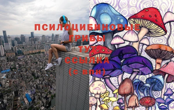 тгк Абдулино